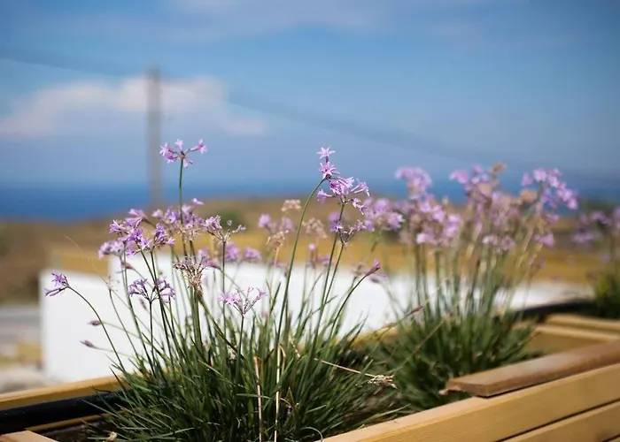 Villa Kea 360 Villas-hermes Hideout Pisses